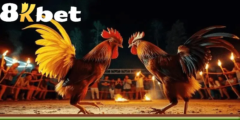 Đa dạng sảnh game đá gà trực tuyến để người chơi an tâm tham gia