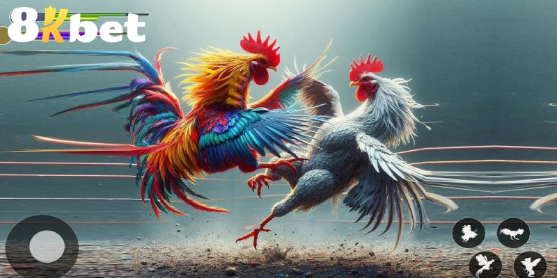 Game đá gà 3D, trò chơi cá cược dạng mô phỏng