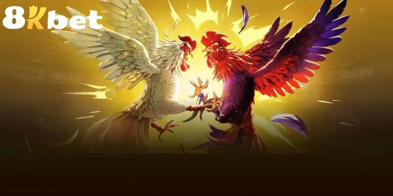 Game đá gà thu hút nhiều người chơi quan tâm
