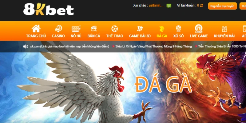 Tận dụng ưu đãi 8KBET để tăng vốn cược